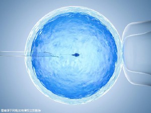 男性因素案例